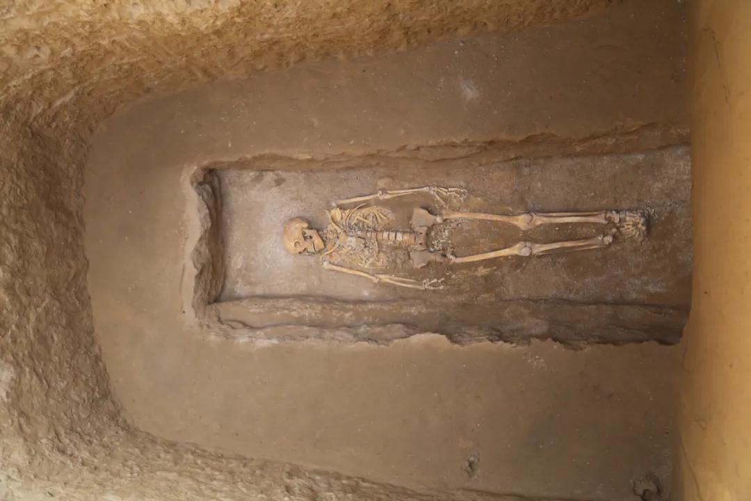 石峁及寨山石城遗址:带你探索石峁文化大型墓地!