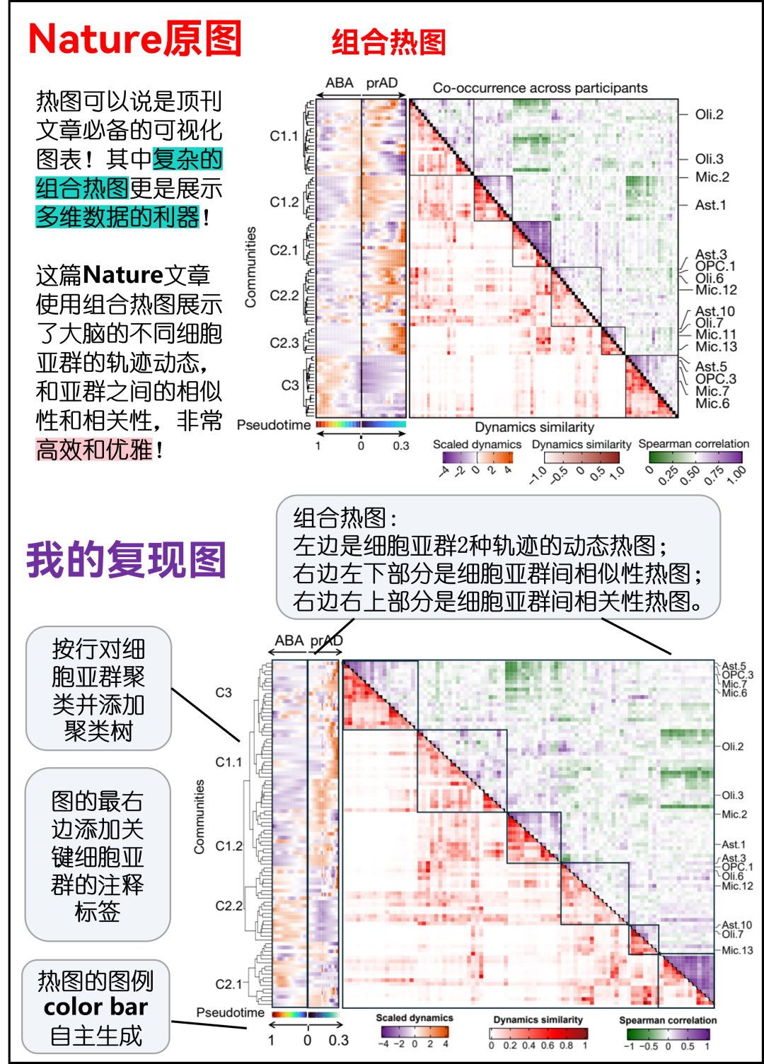 跟着Nature学作图 | 组合热图 - 知乎