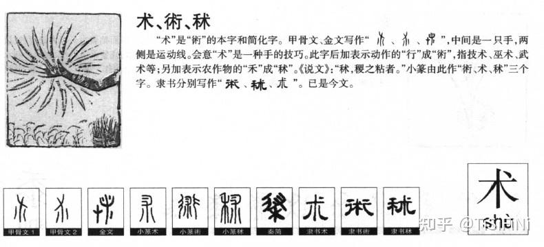 【杂谈】道，法，术｜Ni-Si 时空与游戏设计 - 知乎