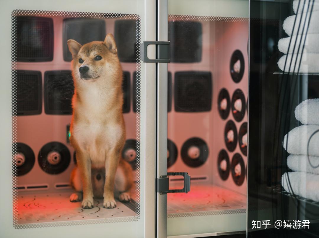 阿那亚,怎么住?-阿那亚住哪