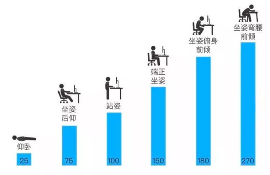 它包括頸椎前凸,胸椎後凸,腰椎前凸, 骶椎後凸四個生理性彎曲,脊柱