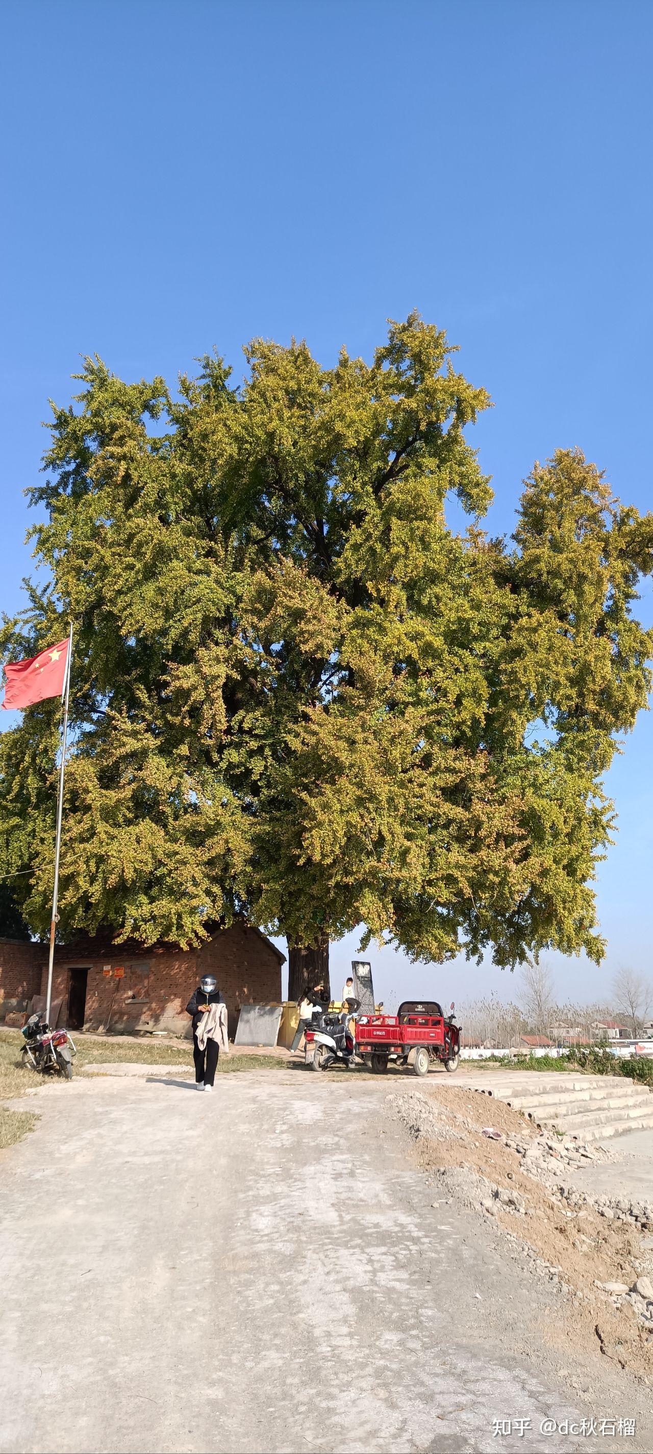 郸城南丰贩毒图片