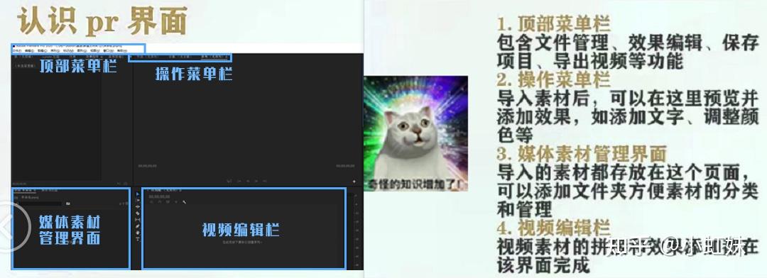 我想学习视频剪辑到底去哪里去学习最靠谱?