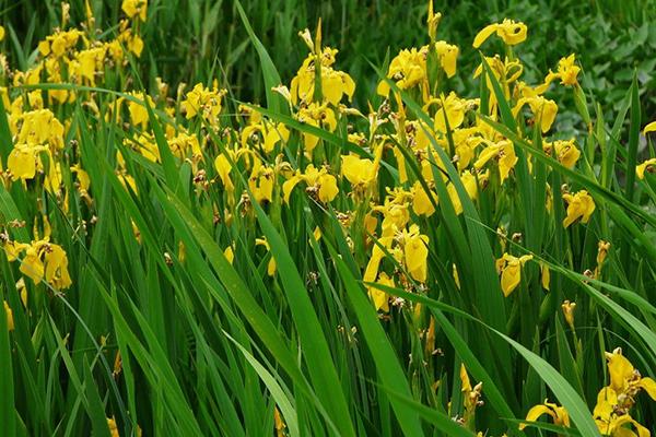 Pic3 Zhimg Com V2 F66e3bcc536ac19baf7010f3