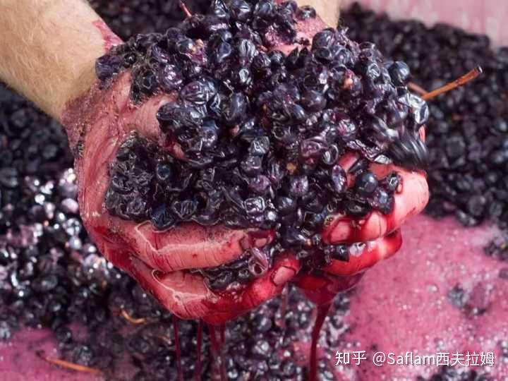 红酒中的单宁是什么意思