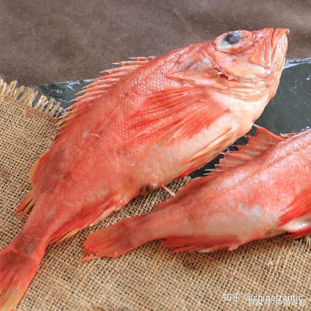 威海运都冰岛红鱼了解一下