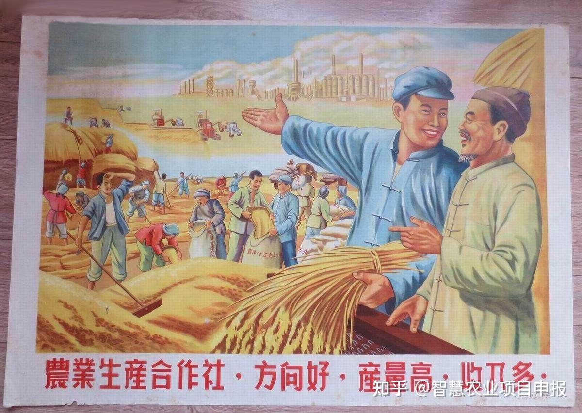 农村合作社补贴多少钱国家对农民合作社有哪些补贴政策怎么申请补贴