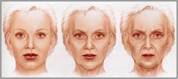 v2-f6b293b6bd05931273fe8517d74acfba_1440w.jpg?source=172ae18b