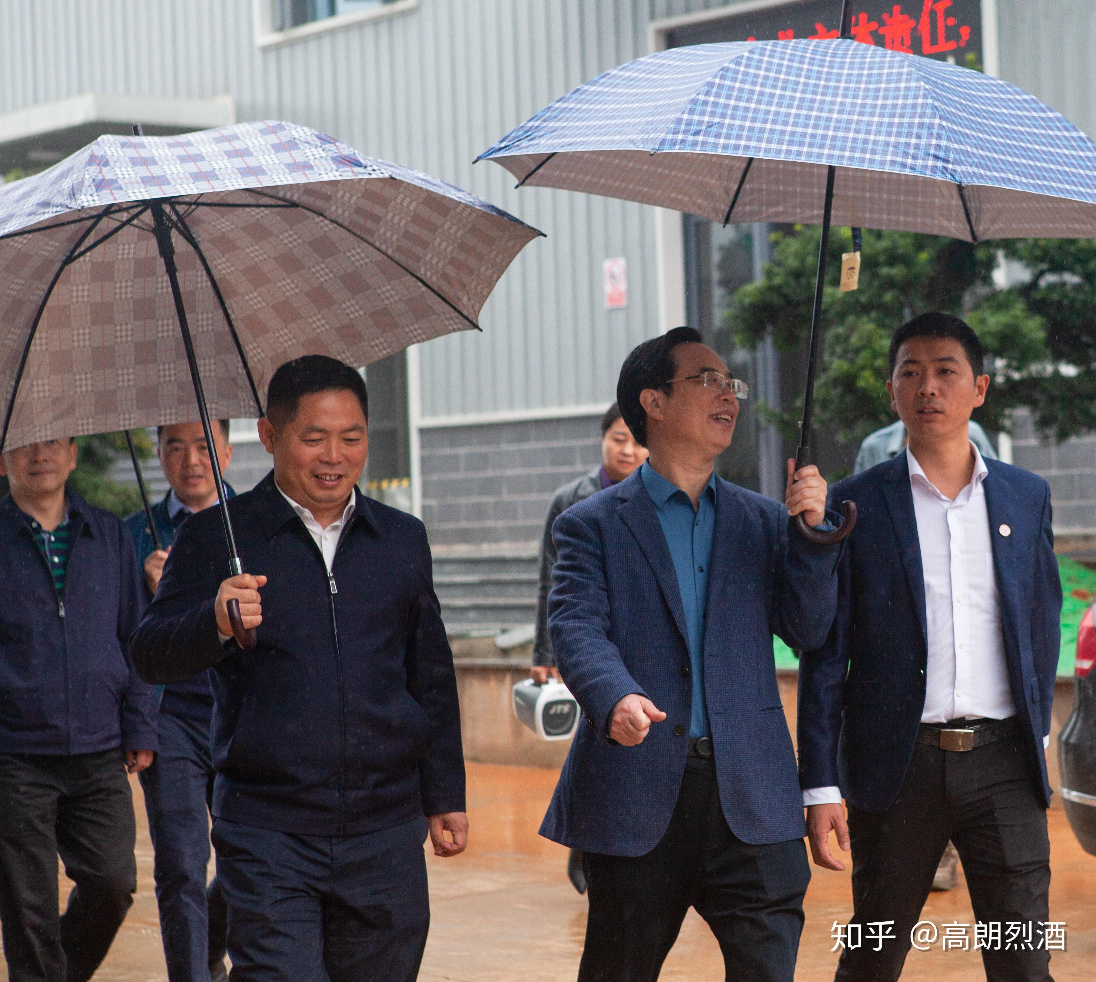 浏阳市人大主任吴震一行莅临高朗集团考察指导工作