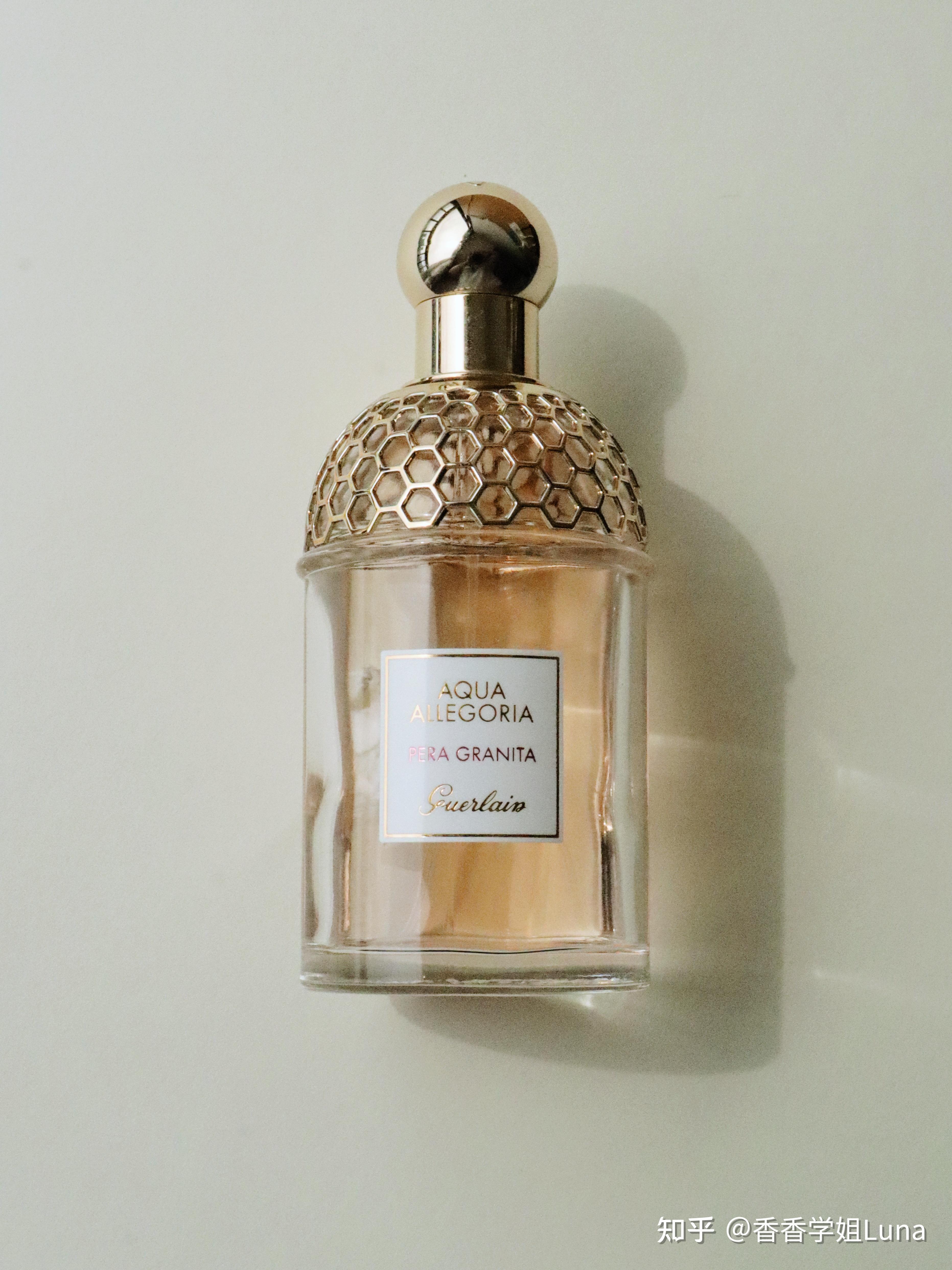 果香香水合集清爽元气的夏日果汁女孩