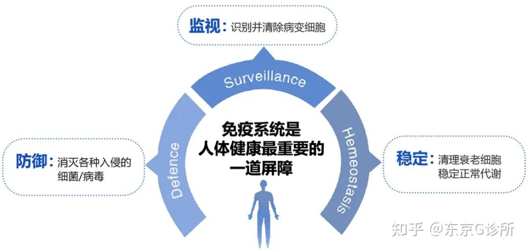 初春乍暖还寒让免疫平衡保持身体最佳状态