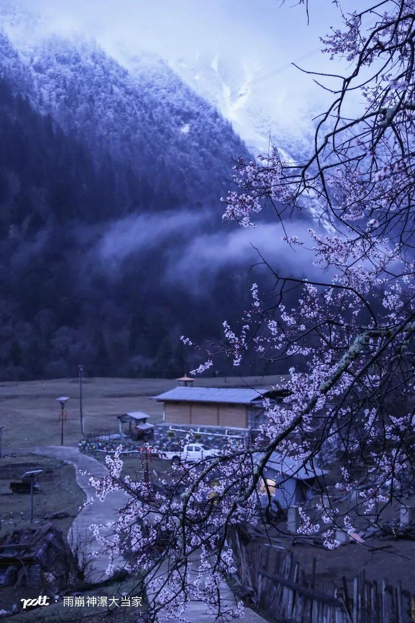 司藤好看不重要重要的是云南值得去