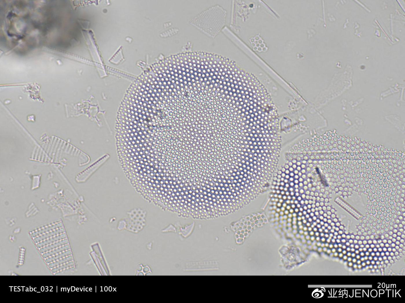 blog显微镜相机如何揭示海洋生物学的秘密