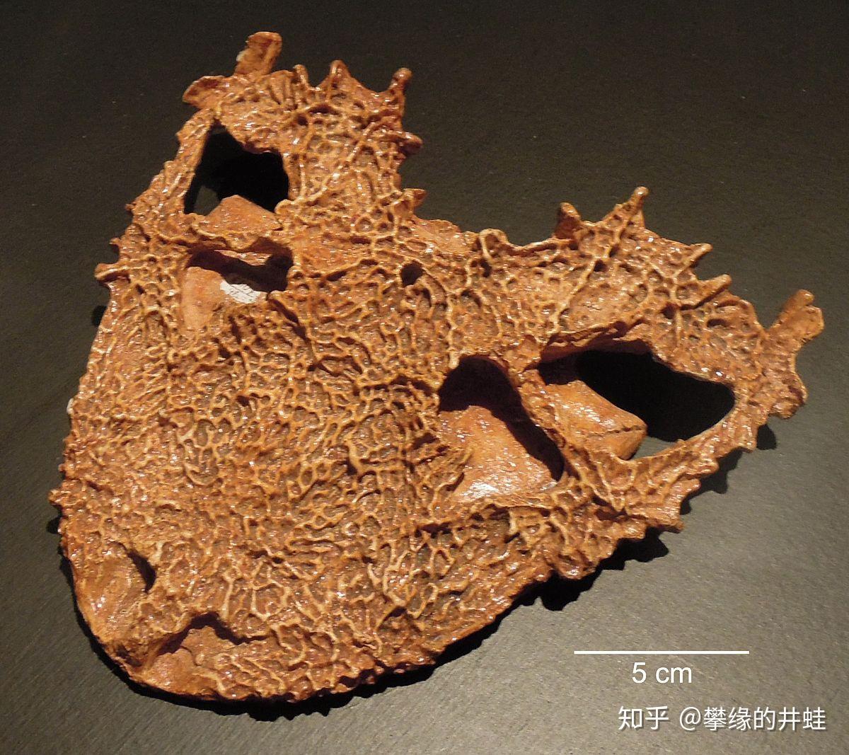 【地球演义】偏师劲旅（上） - 知乎