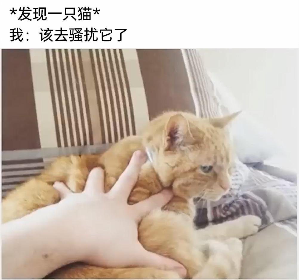meme梗图:当你忘记把钱存进了哪台ATM里时 - 知乎