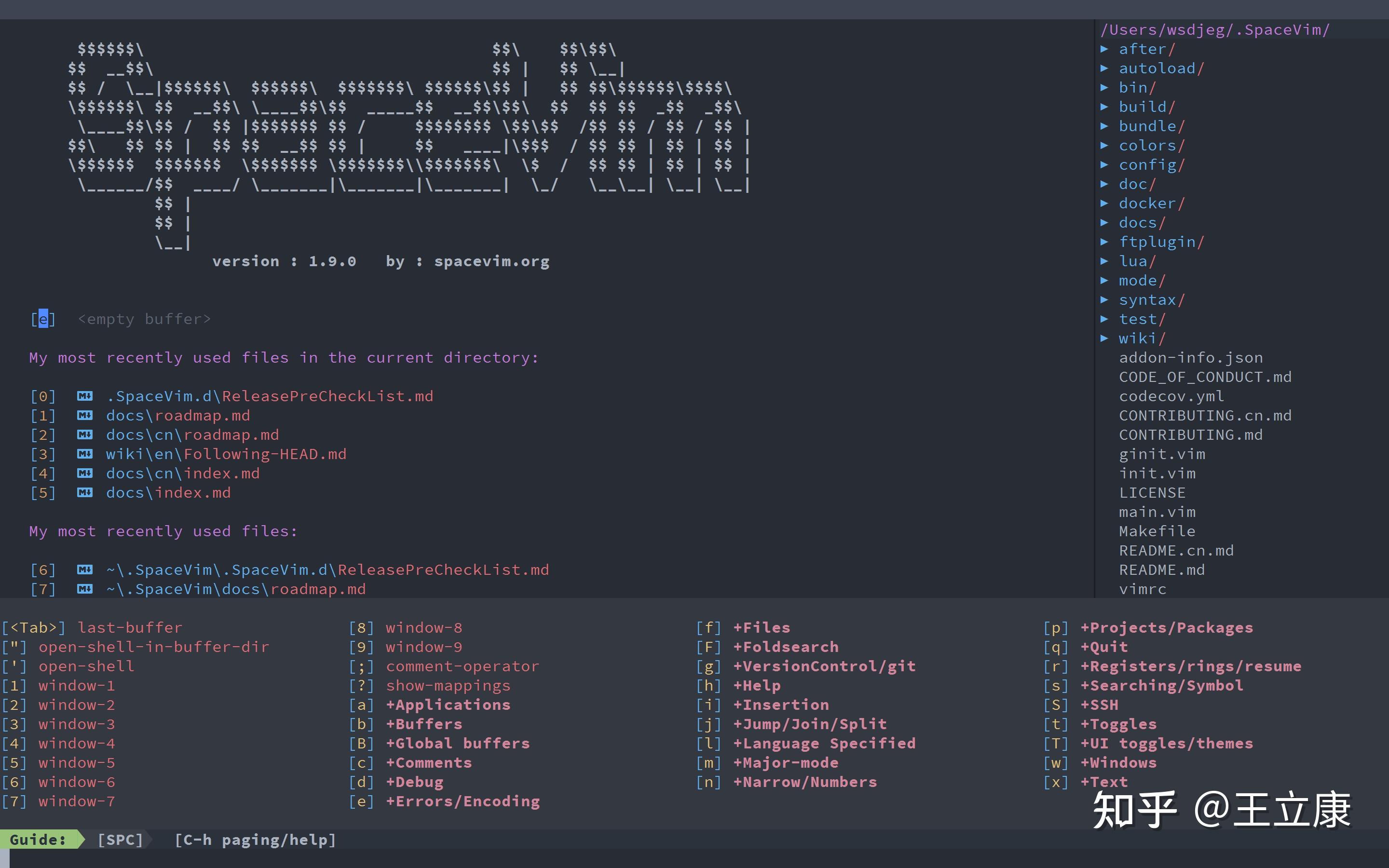  neovim 