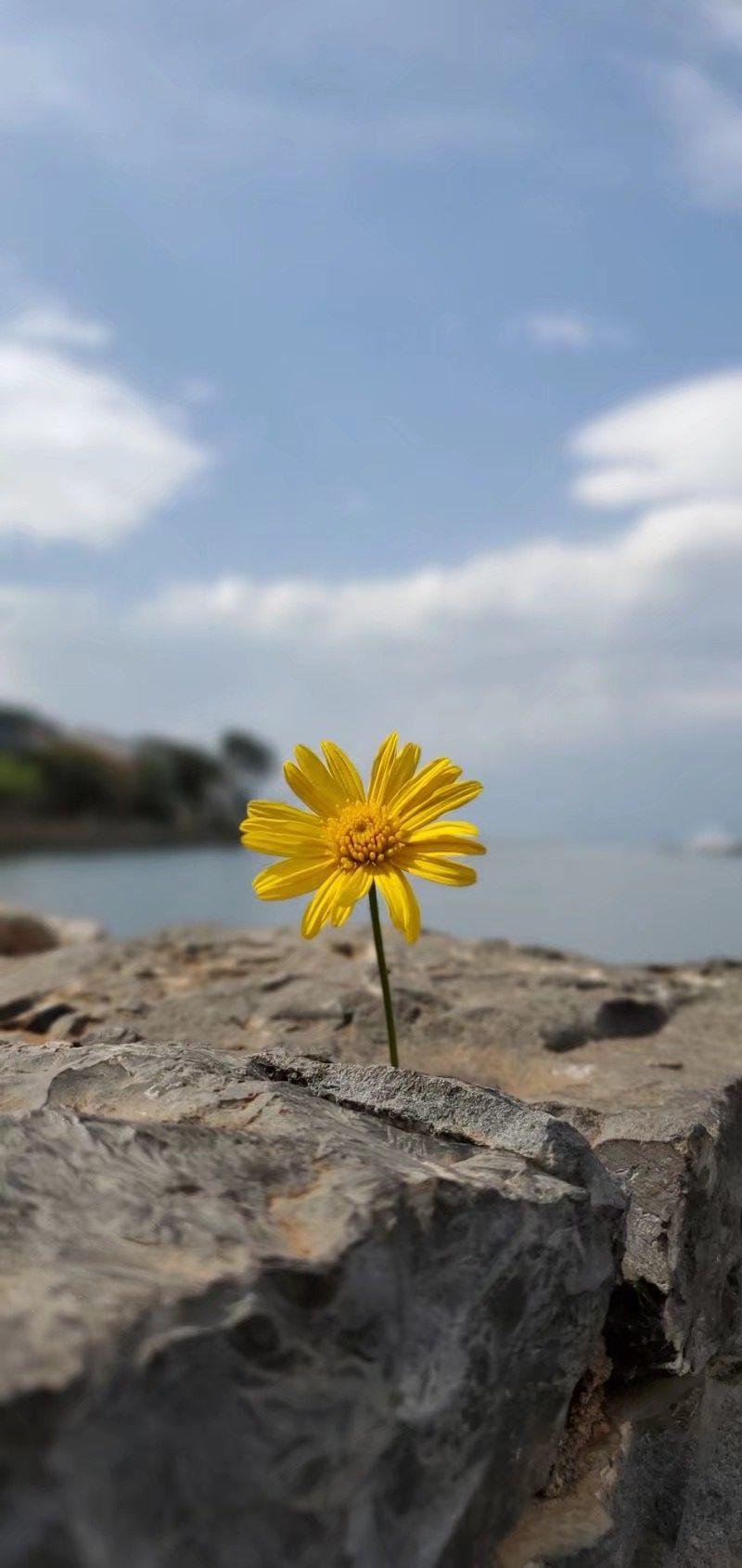 你见过有夏天感觉的图片