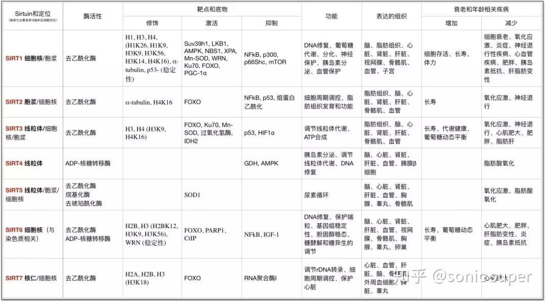 白藜芦醇二甲双胍所谓神药们的背后靠山之一sirtuins蛋白家族