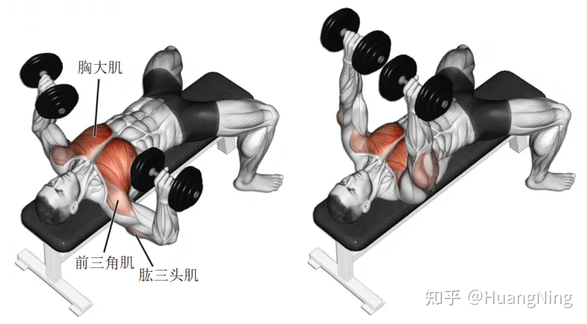 拉力器直臂下拉step2 單手啞鈴划船step3 半蹲單臂彎舉step4 斜託槓鈴