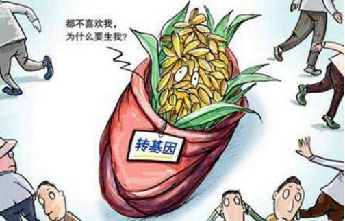 黑龙江严查非法转基因种子:入户调查,力争不让一粒下地