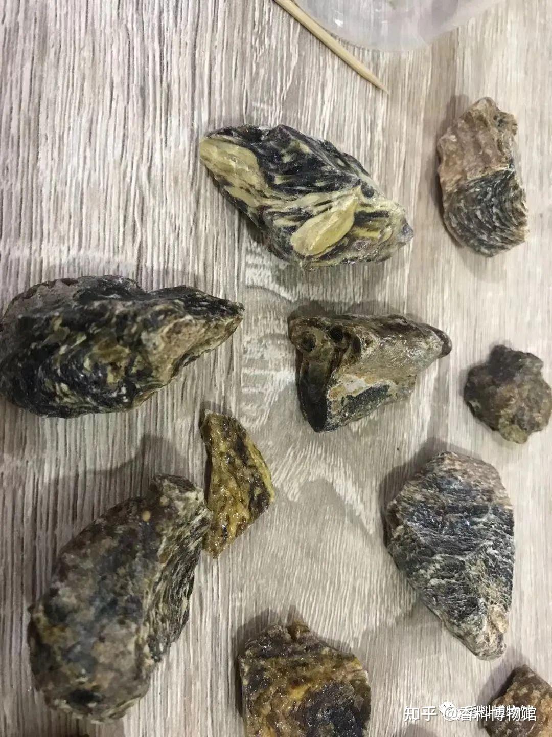 达玛脂与笃耨香，关于龙脑香科的简单介绍。 - 知乎