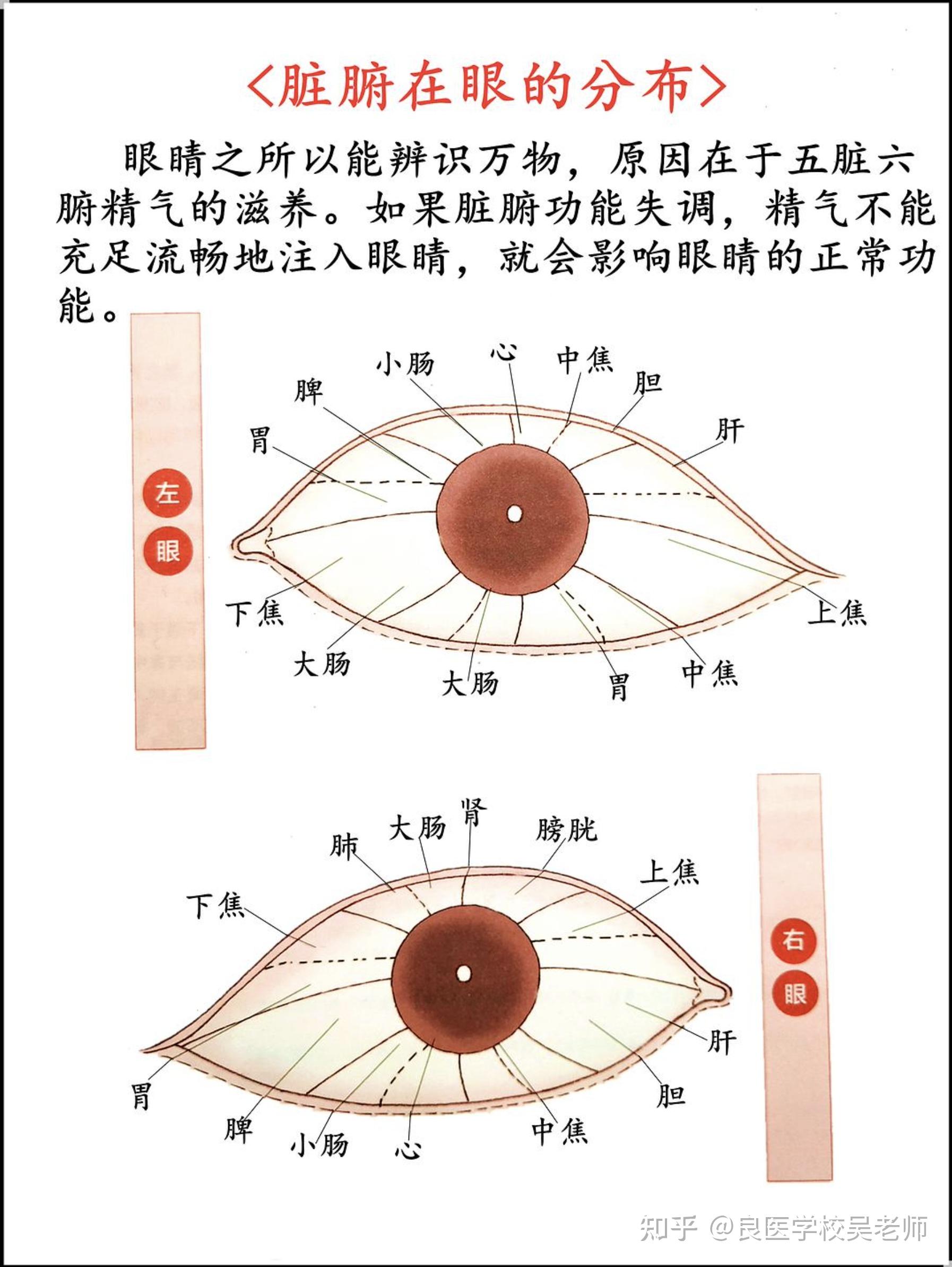 成小片,在牛奶中完全浸透,覆盖在眼皮上20