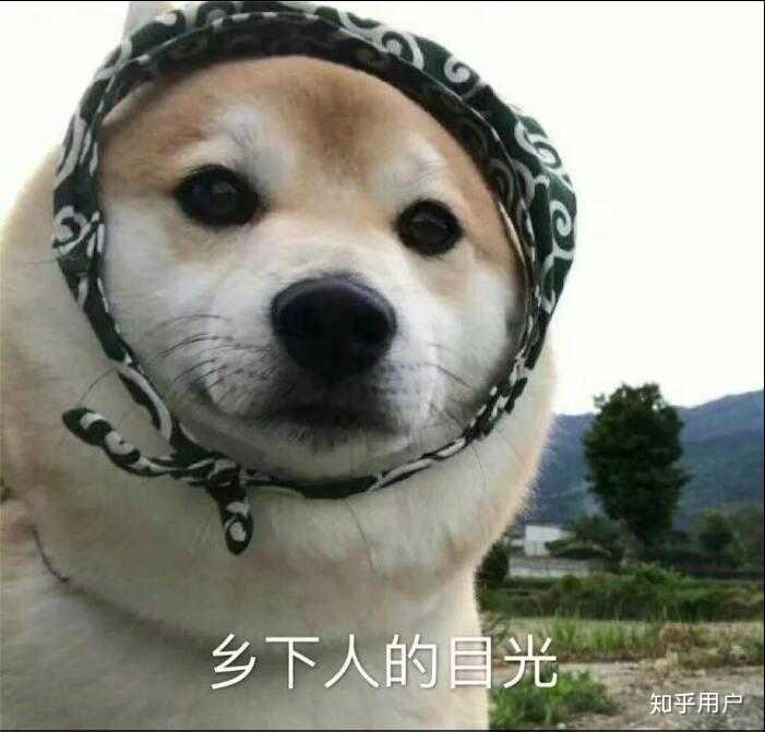 如何看待刘强东在美国商务活动期间遭遇性侵指