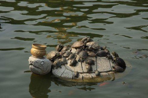 v2-f747a3dd85f6a9d90a276290d0fea178_1440w.jpg?source=172ae18b