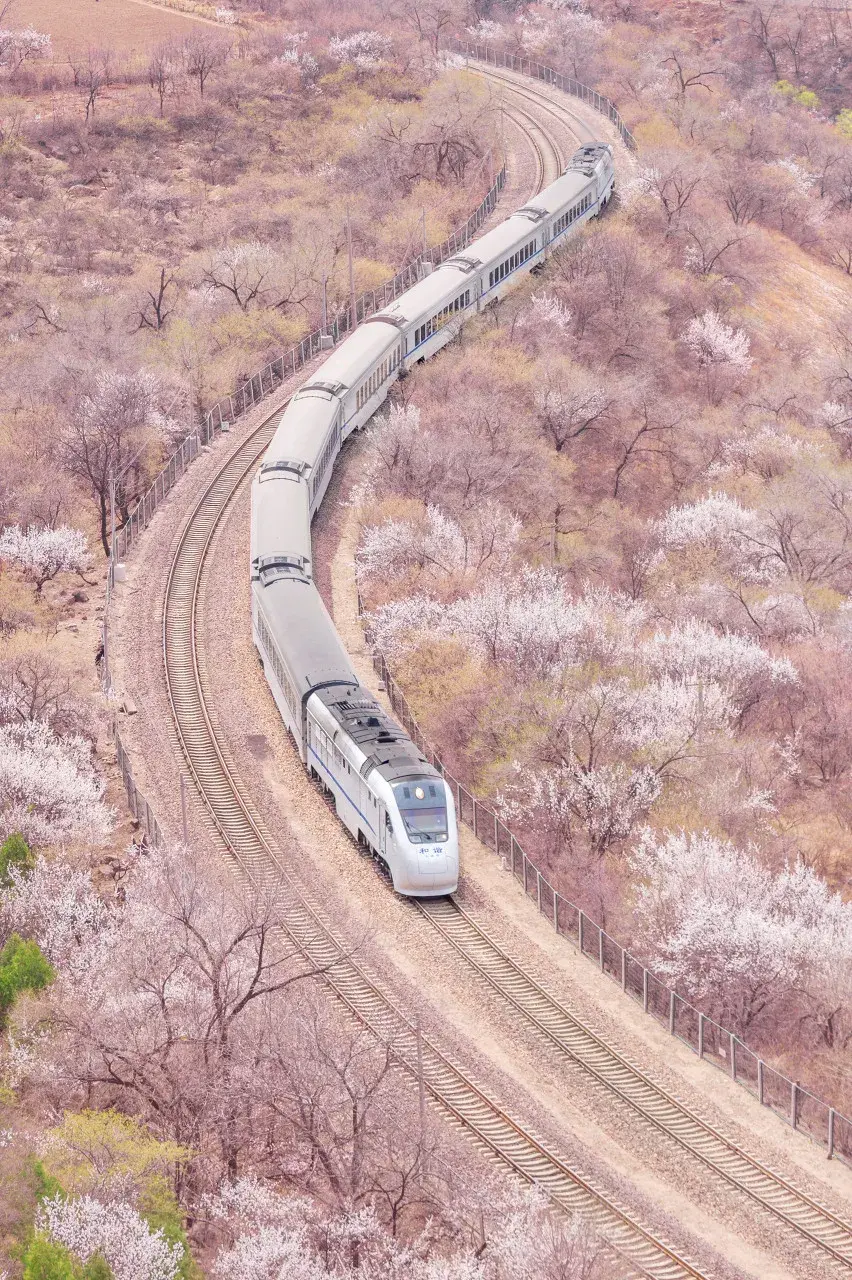 中国最美的6条铁路,路上就是风景,此生必去!