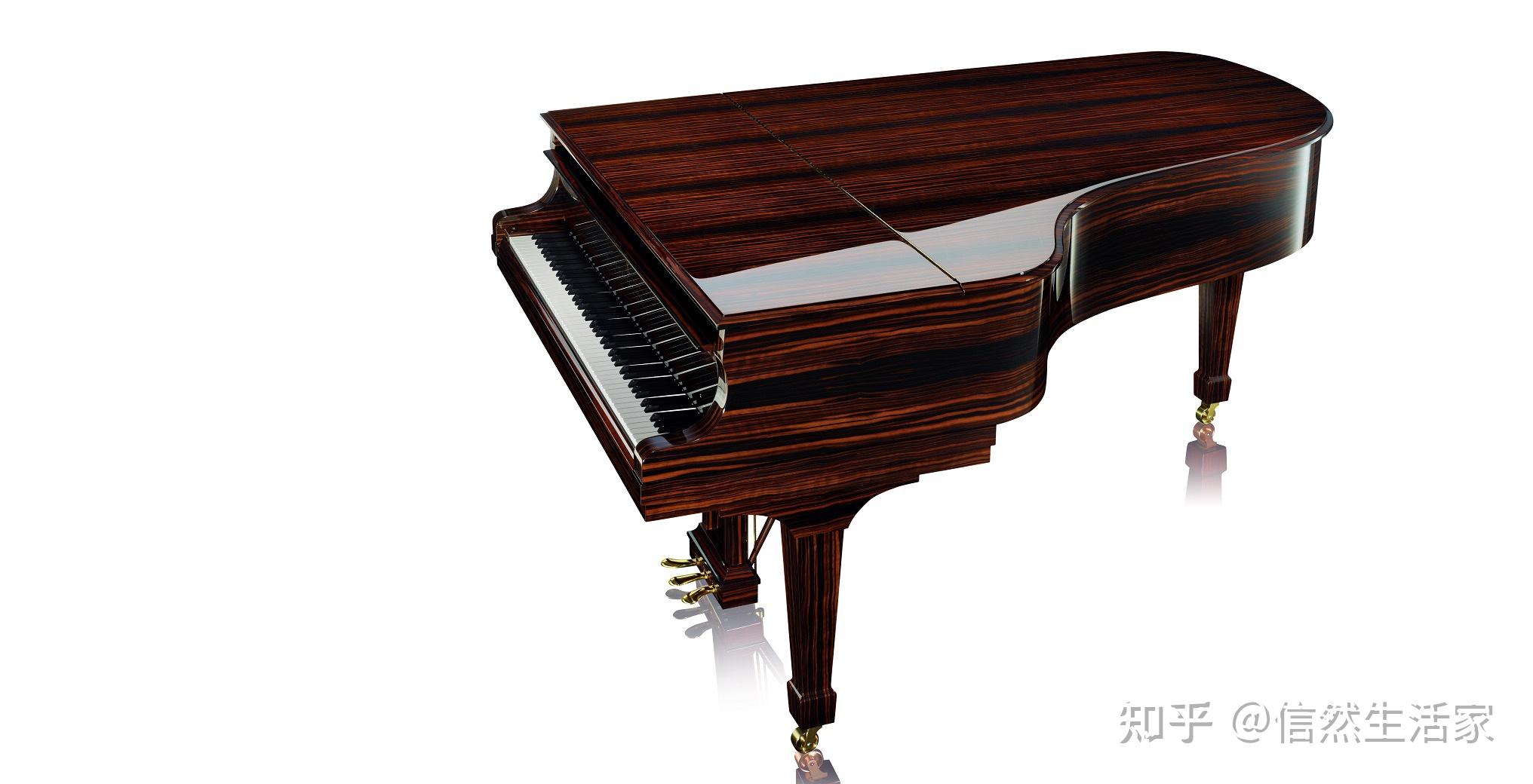 条纹乌木(苏拉威西乌木diospyros celebica望加锡黑檀macassare bony