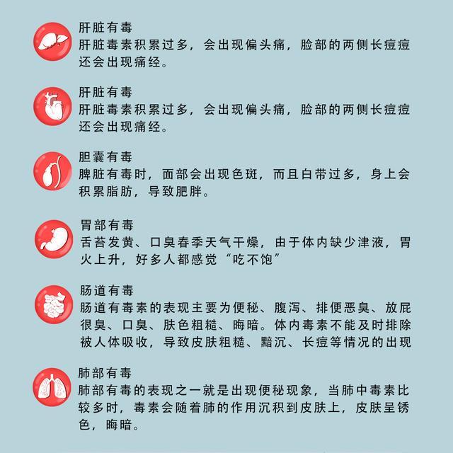 酵素与内脏,痘痘的关系酵素是生命的原动力,是身体的清道夫.