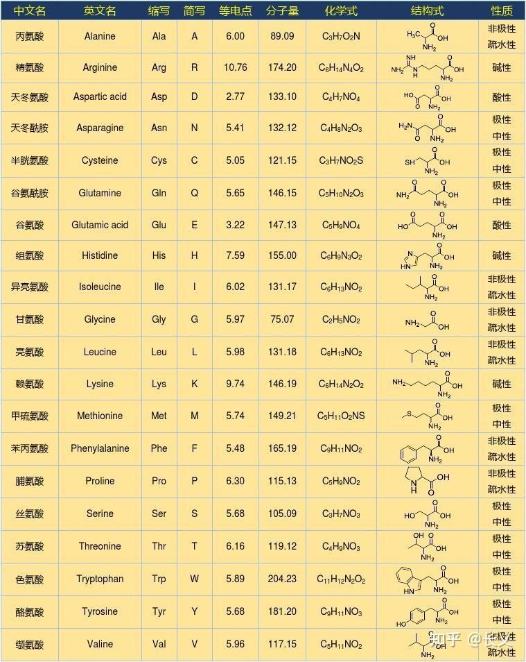 氨基酸——生化笔记 - 知乎