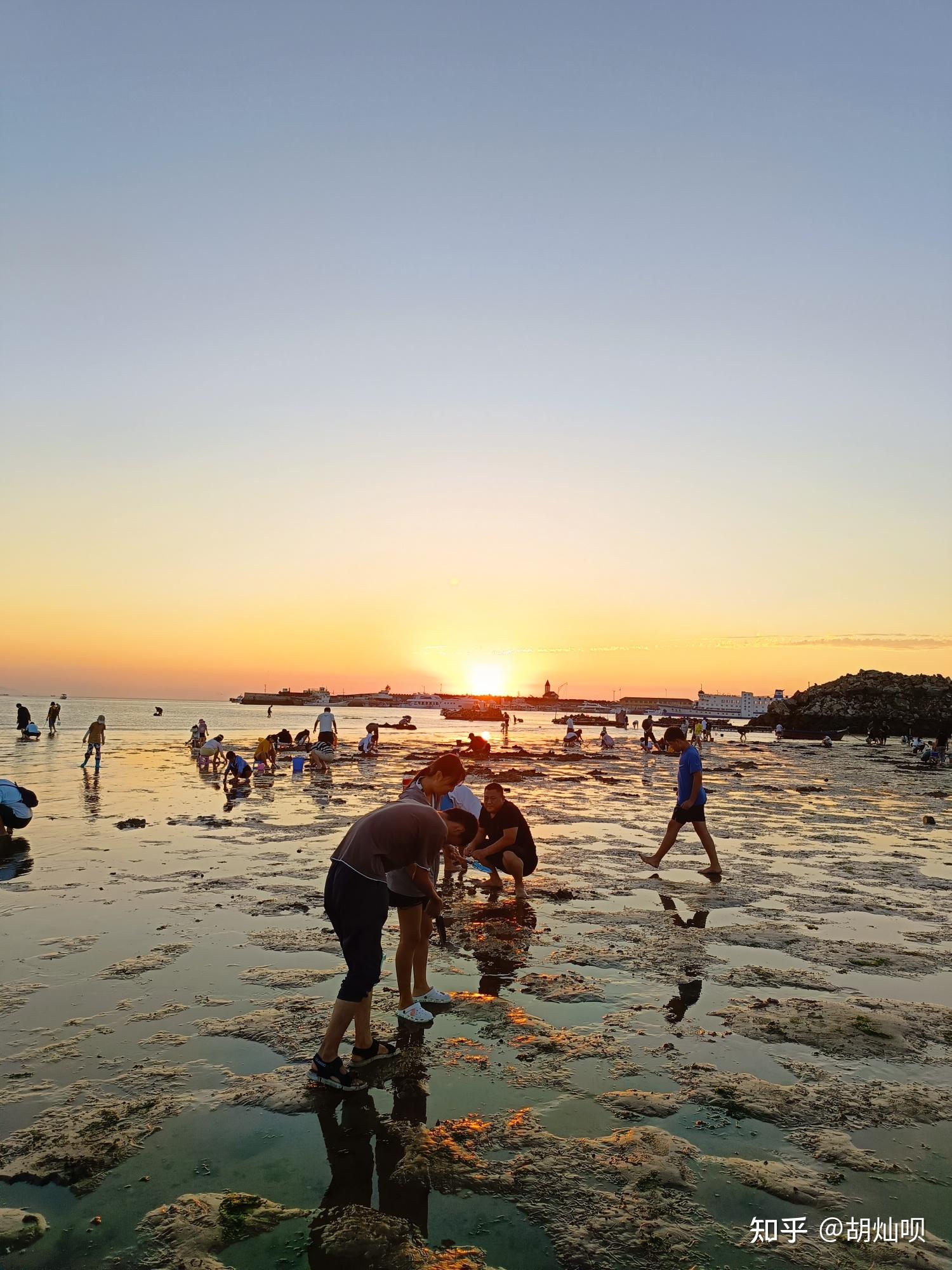 威海国际海水浴场赶海图片