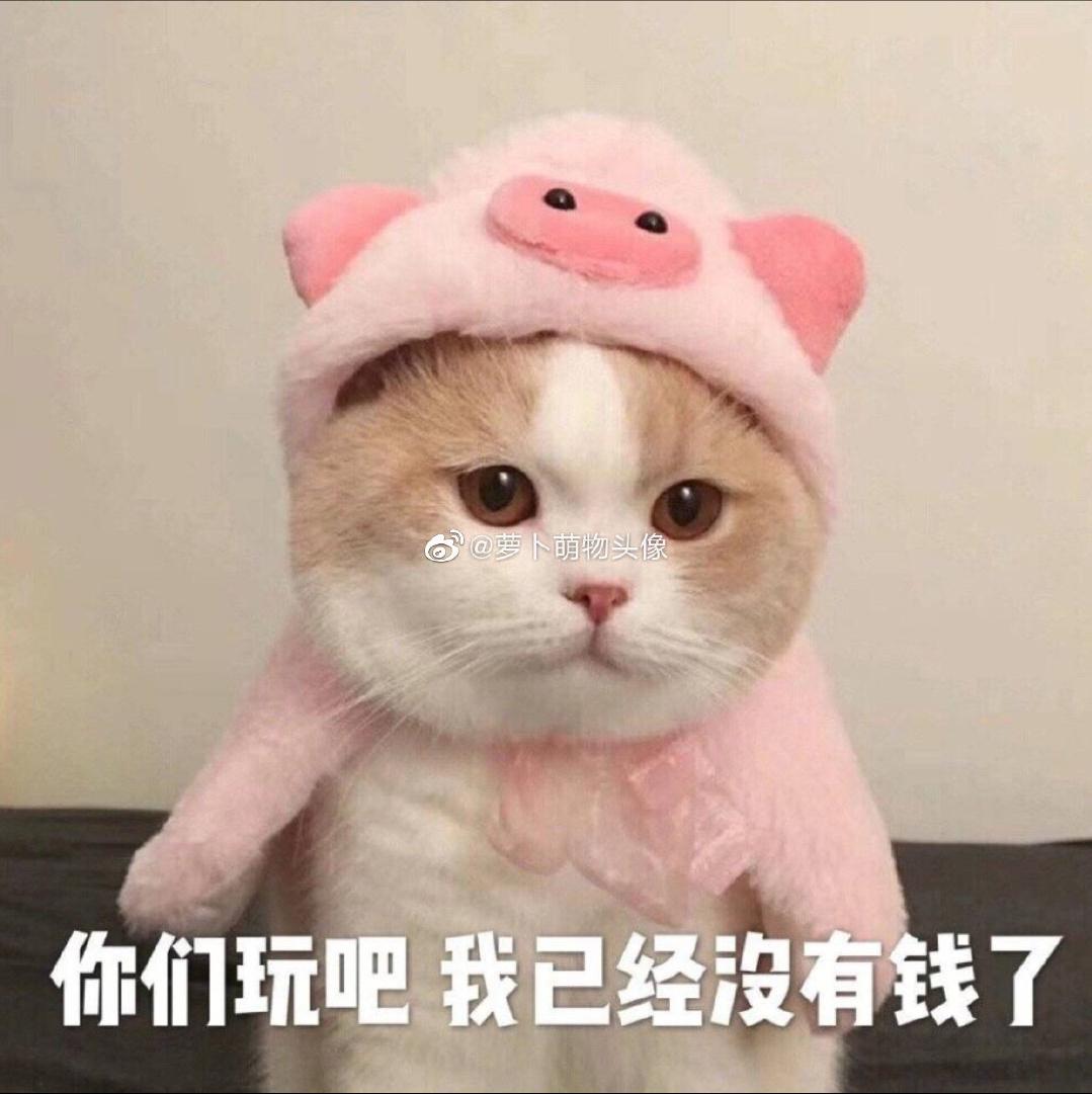 v2-f77ff36fe73bf0a8e6e621730cfdb629_r.jpg