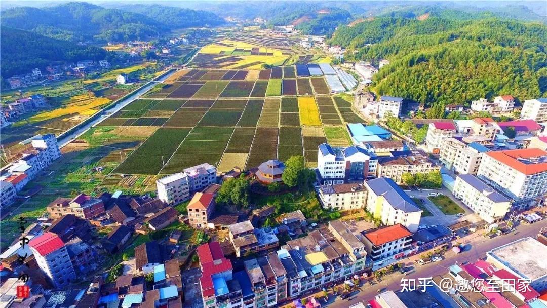 二月的春节,可以去桃源镇看桃花盛开,2800亩的桃花湖中16座桃花岛各具