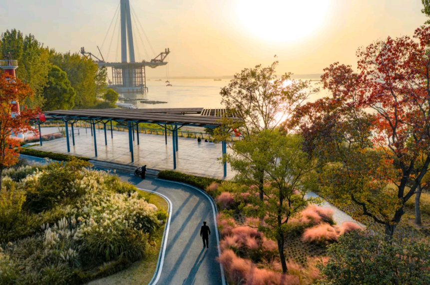 值得学习!新加坡·南京生态科技岛