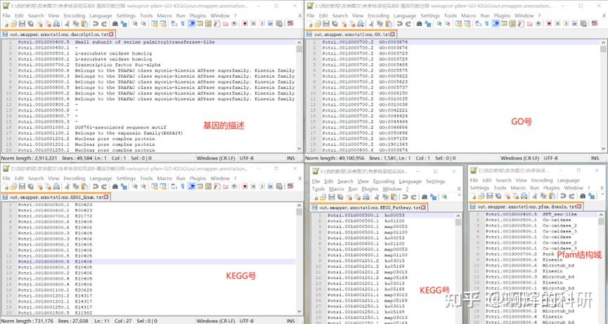 Tfdb 有参转录组实战8-基因功能注释_GO_KEGG_swissprot_pfam_TFDB_iTAK - 知乎