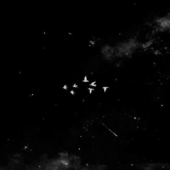 更新最近使用的绿色系壁纸 太爱绿色了!!(绿色壁纸ins风纯色系)