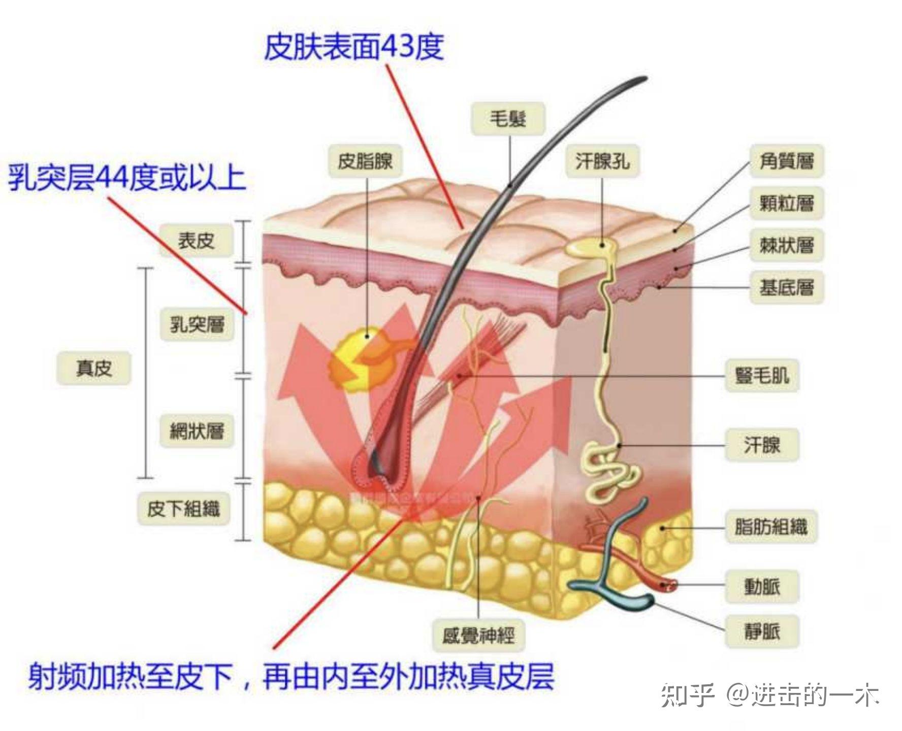 揭秘七大家用美容仪的真相