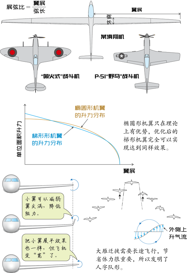 机翼弦长图解图片