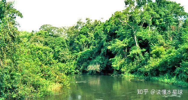 埃博拉河(摄于1976年)后来,人们将这种病毒称为埃博拉病毒,"埃博拉"