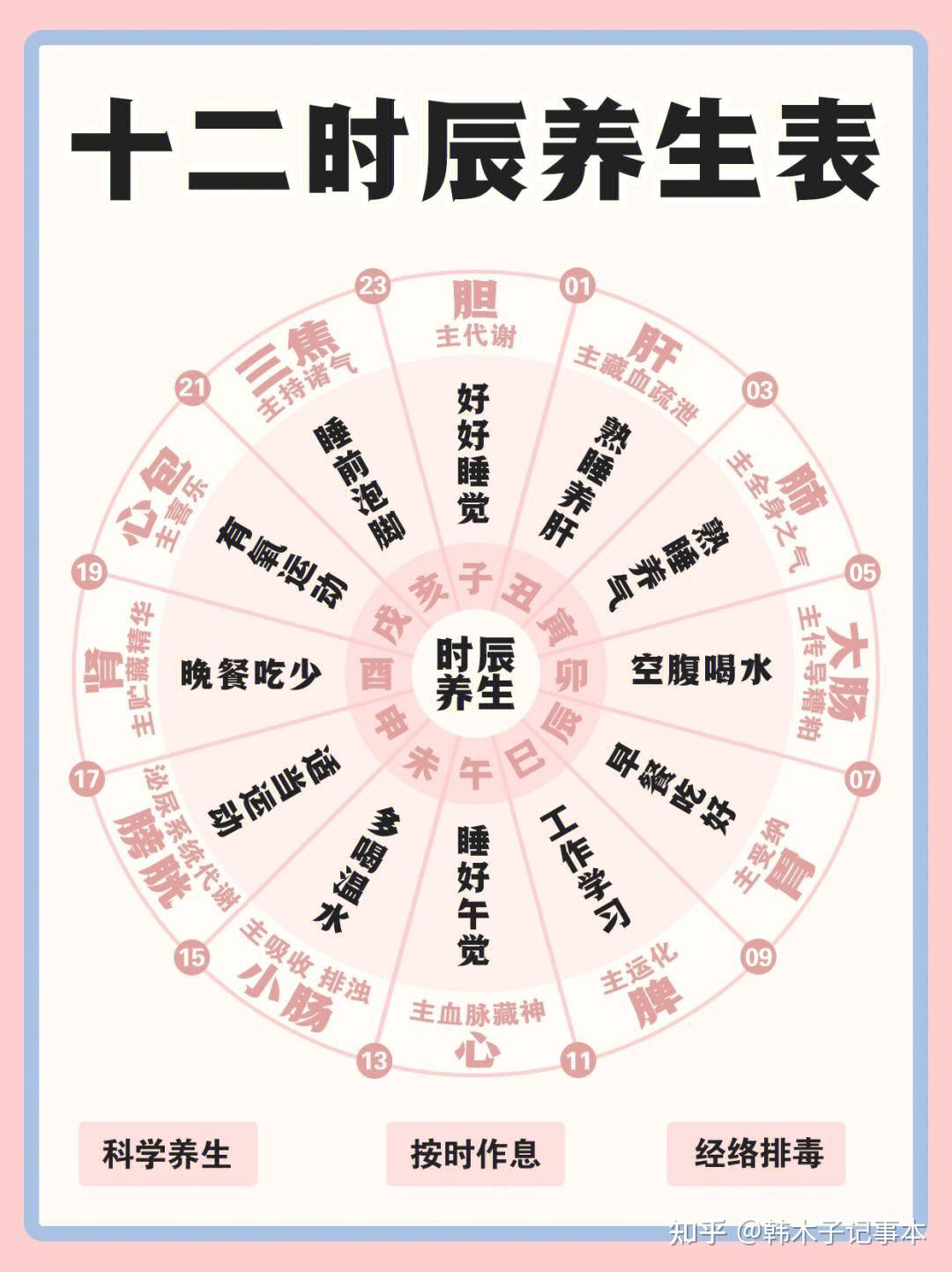 中医时辰:每个时段你的身体都在做什么? - 知乎