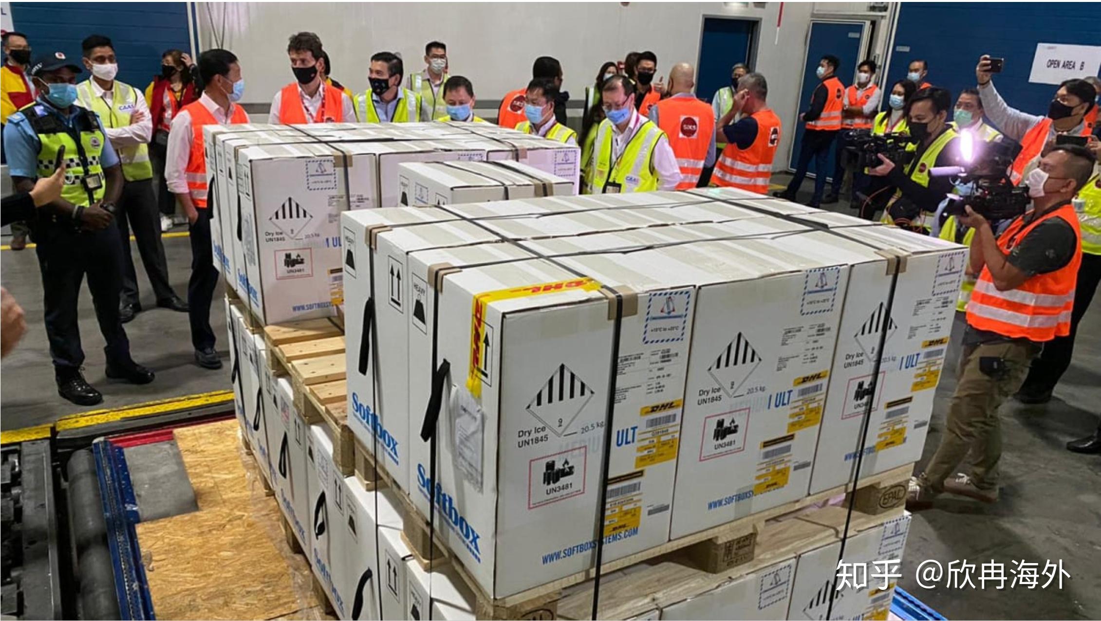 首批辉瑞biontech冠病疫苗运抵新加坡