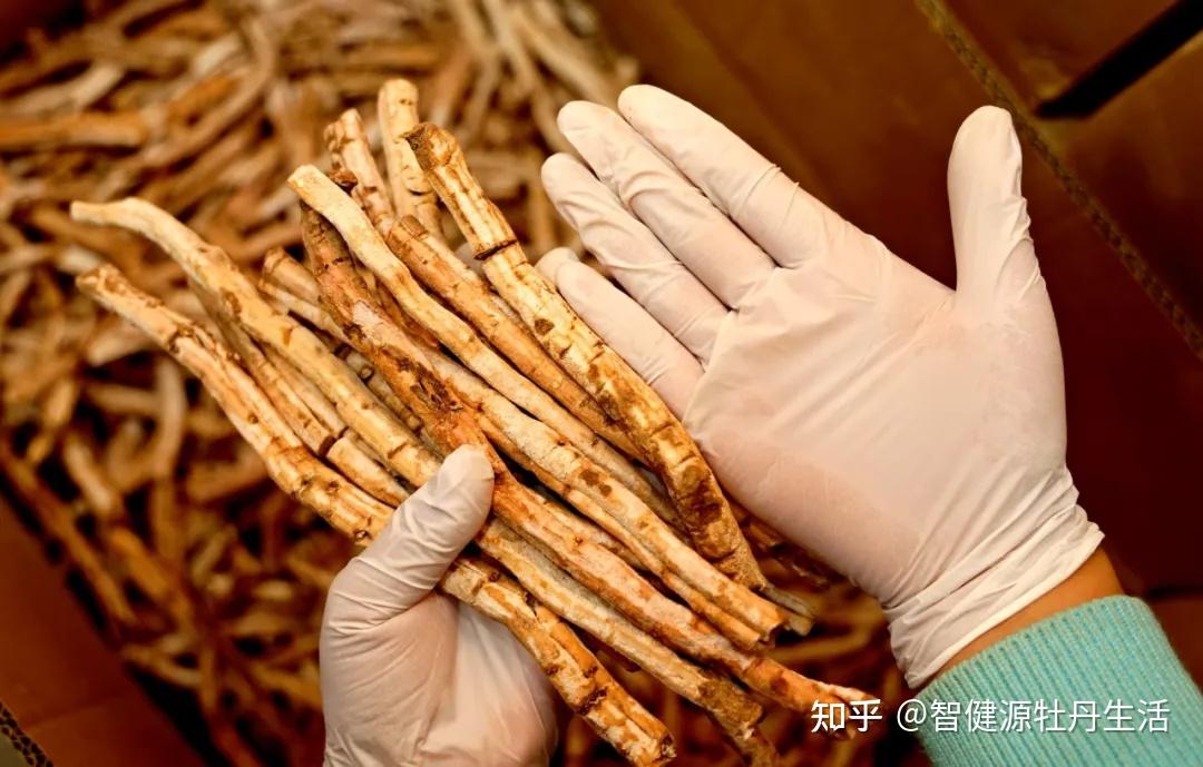 凤丹牡丹:千年传承的天然食药妆新宠 - 知乎