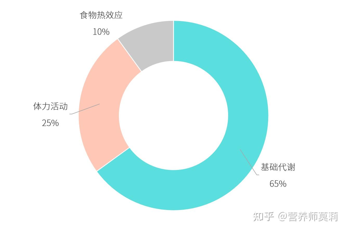 消耗的熱量攝入的熱量減肥