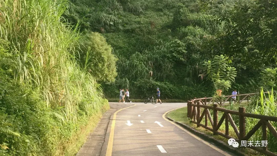 深圳周末户外徒步线路，银湖山郊野公园 - 知乎