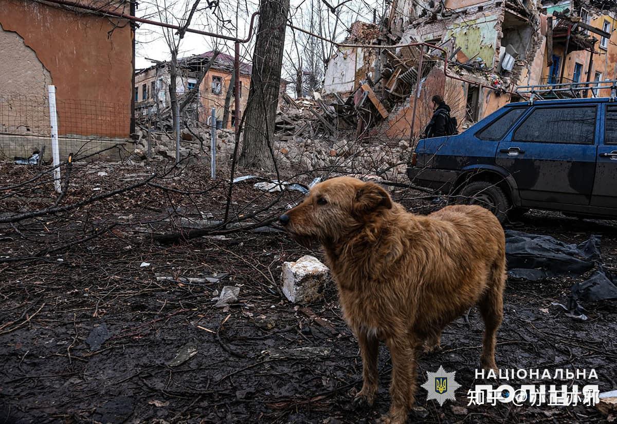 俄罗斯空中鳄鱼被去军事化