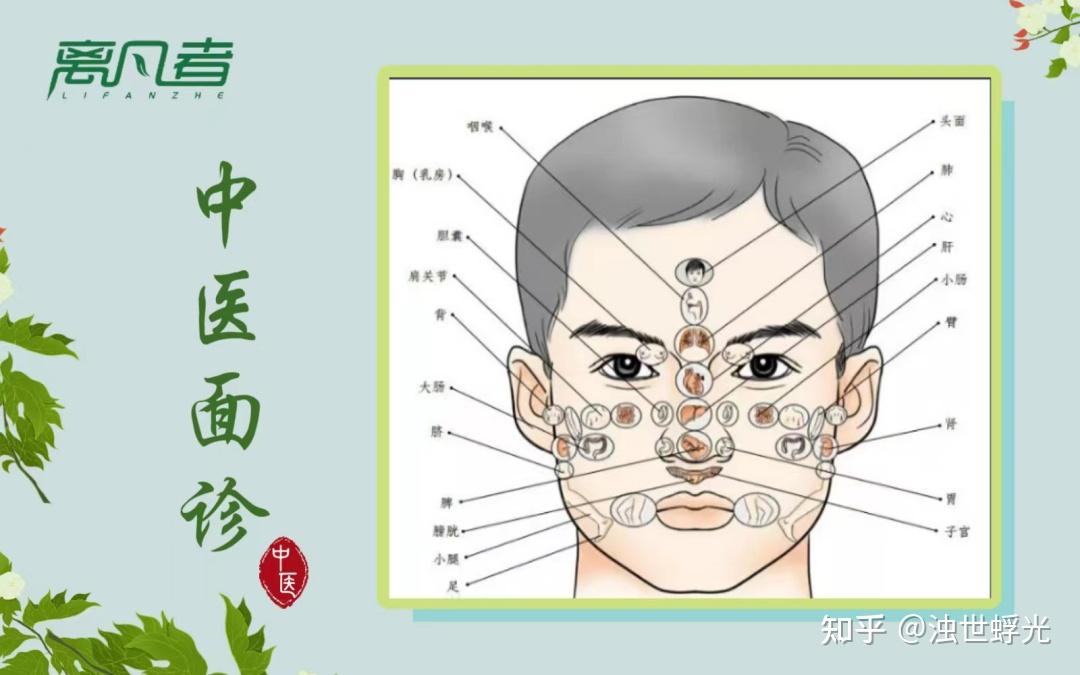 常说看面相,中医面诊有何玄机?