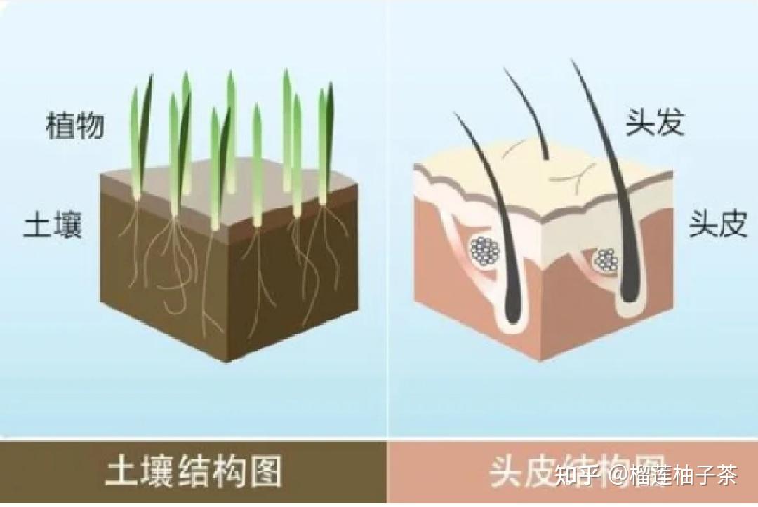 最有效地护发方法！ - 知乎