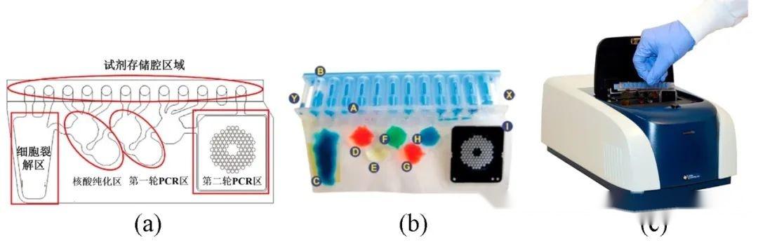 便携式全集成核酸检测（分子POCT）的系统性学习 - 知乎